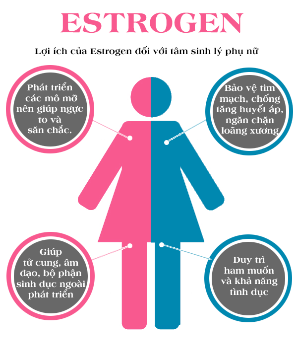 Testosterone-Infographic